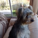 Rosa Donoso - Facebook
