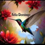 Rosa Donoso - @rosa.donosoolmos - Instagram