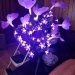Rose Ennis-Jones - @roseennisjones - Instagram
