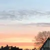 Rosalie Epps848 - @rosalieepps848 - TikTok