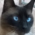 Rosa Maria Espada Fernández - @rosaespadafernandez - Instagram