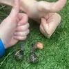Rosa Evans-Knaup - @rosaevansknaup - TikTok