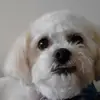 Rosalee Farley Huisman - @rosalee.farley.hu - TikTok