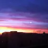 Rosa Farris - @rosa.farris - TikTok
