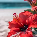 Roseli Ferrel - @rosa_ferrel_bat - Instagram