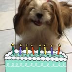 Rose Ferreras - Facebook