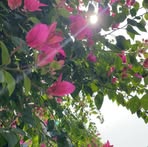 Rosa Galvez - Facebook