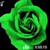 rosagalvez87 - @rosagalvez87 - TikTok
