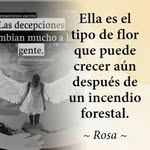 Rosa Maria Gines Galvez - @ginesgalvezrosamaria - Instagram
