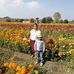 Rosa Gonsalez - Facebook