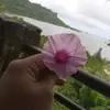 Rose Handy - @rose.handy6 - TikTok