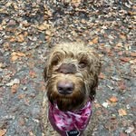 Rosa Hermans - @rosahermans2011 - Instagram