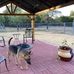 Rosa Garza-higgins - Facebook