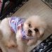Rosa Higgins - Facebook