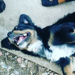 Rosa ruby hightower - @_rosa_ruby_ - Instagram
