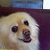 Rosalee Holcomb - Facebook