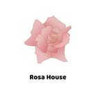 Rosa House - @rosa_house_kw - Instagram