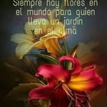 Maria Rosa Huber - @hubermariarosa - Instagram