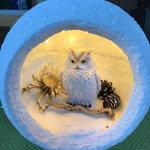 Rosa Huber - @rosa.huber.731 - Instagram