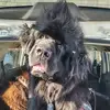 rosachicahullzava - @rosachicahullzava - TikTok