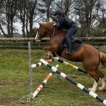 Rosa Hunter-willetts - @rosa_equestrian09 - Instagram