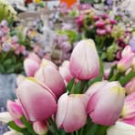Rosa Iannuzzi - Facebook