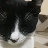 Rosa Islas - @rosa.islas30 - TikTok