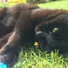 Rosa Jacoby - @rosajacoby - TikTok