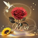 Rosa Jauregui - @rosajauregui64 - Instagram