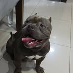 Rosa Jauregui - Facebook