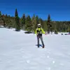 rosasjavier000 - @rosasjavier000 - TikTok
