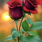 Rosa Jeronimo - Facebook