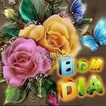 Rosa Jorge Dias Dias - @rosajorgedias - Instagram