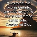 Rosa Joya - @rosa.joya.792 - Instagram