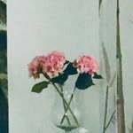 Коза - @rosa.karp.9 - Instagram