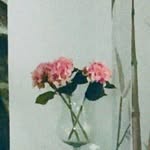 Rosa Karp - @babkasdedom - Instagram