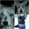 rosanakern - @rosanakern - TikTok