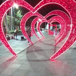 Rosa Lagunes - @rosruizlagunes - Instagram