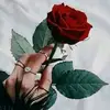 Rosa Lemuz - @rosa.lemuz1 - TikTok