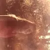 Rosa Lomeli - @rosa.lomeli27 - TikTok
