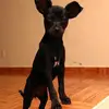 Rosa Loreto - @rosa.loreto43 - TikTok