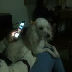 Rosa loreto Trejos Rojas - @rosaloretotrejos - Instagram