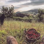 Macchia di Rosa - @macchiadirosa - Instagram