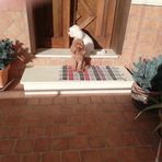 Rosa Macchia - Facebook