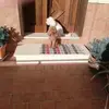 rosamacchia4 - @rosamacchia4 - TikTok