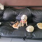 Rosa Madrigal - Facebook