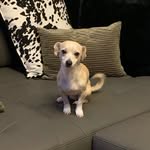 Rosa Madrigal - @mr.otisandlola - Instagram