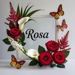 Rosa Madrigal - Facebook