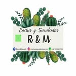 Rosa Manuel - @cactusysuculentasrym - Instagram