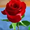 Rosa Manuel - @rosa.manuel28 - TikTok
